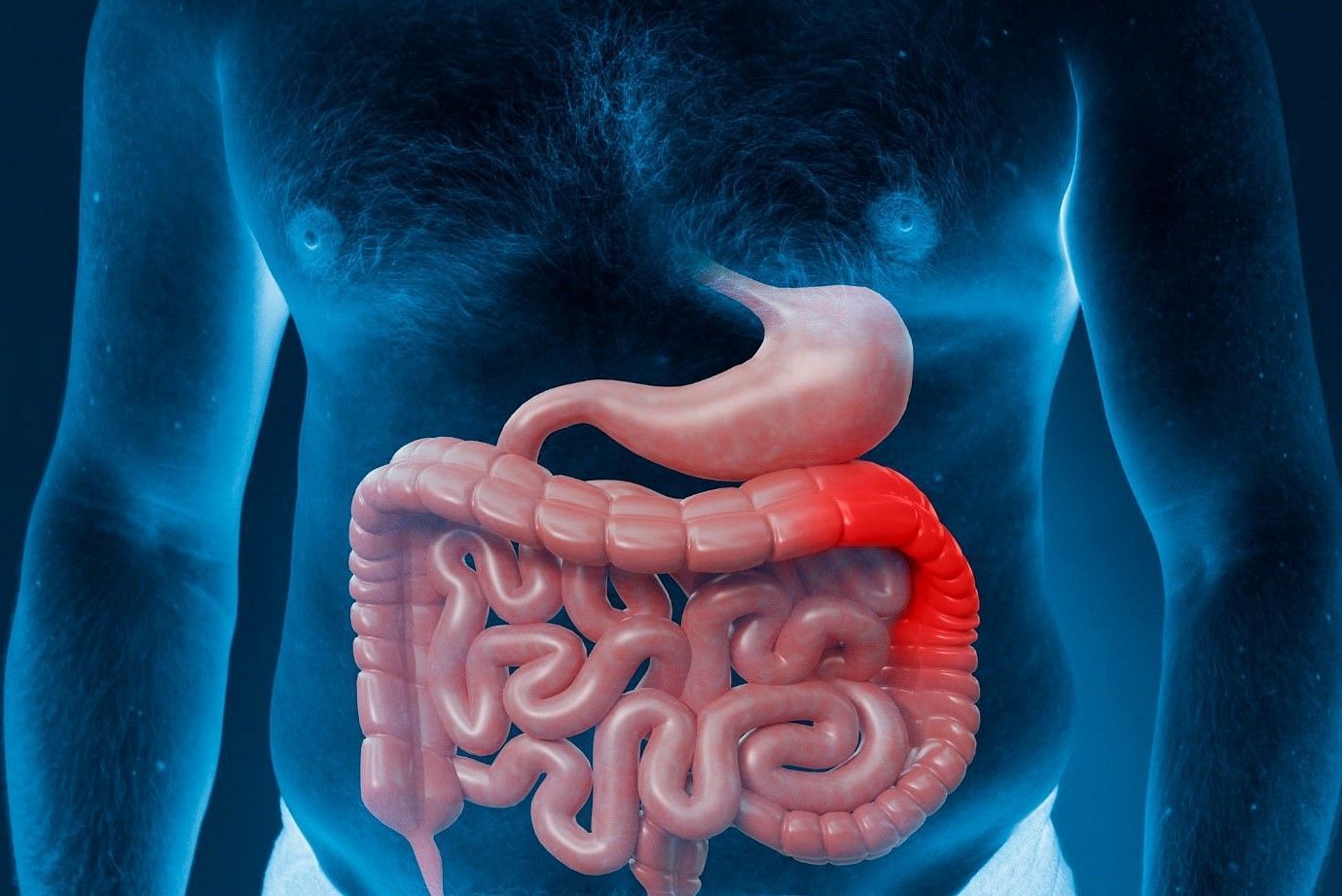 Anti-inflammatory diet can reduce inflammation of the gut (image by freepik)